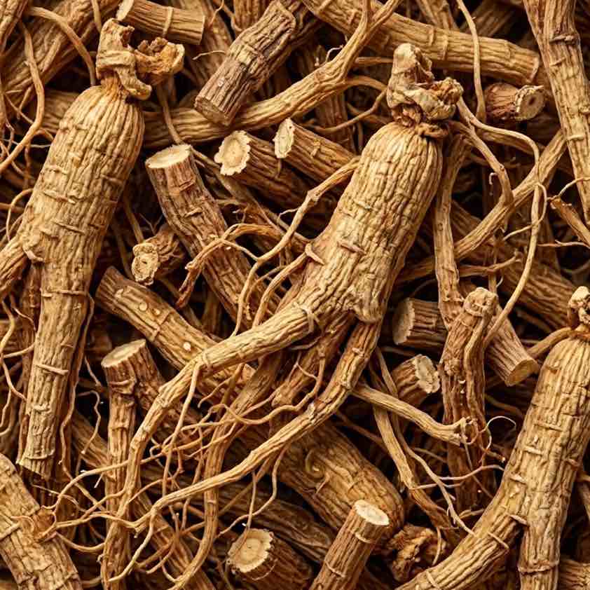 Wysokiej jakości ekstrakt z Cistanche tubulosa (pustynny żeń-szeń)
