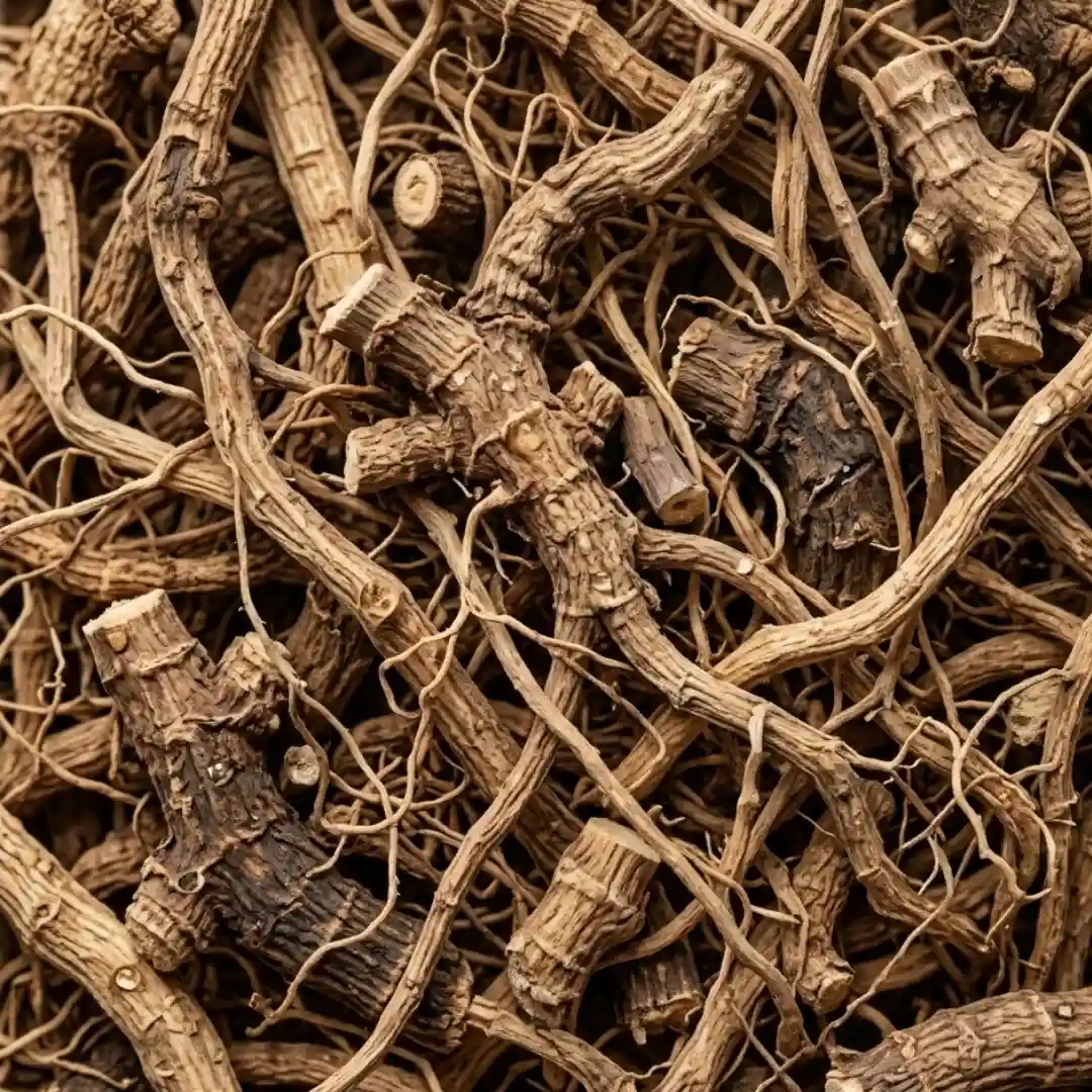 Korzeń kozłka lekarskiego – składnik produktu PlantaHerb